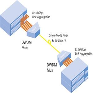 DWDM-6