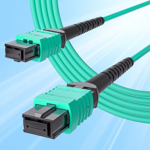 MPO 12 Fiber Cable