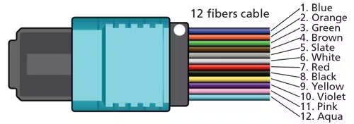 MPO Connector-3