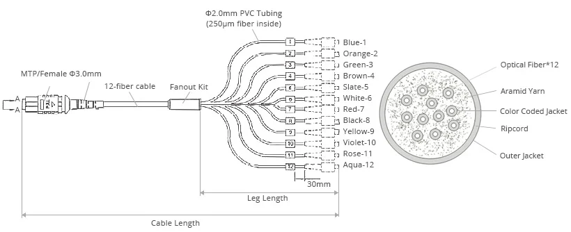 MTP-12 Breakout Cable Structure