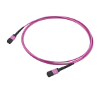 OM4 Multimode MTP-12 Trunk Cable, Magenta