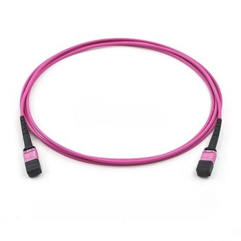 OM4 Multimode MTP-12 Trunk Cable, Magenta-2