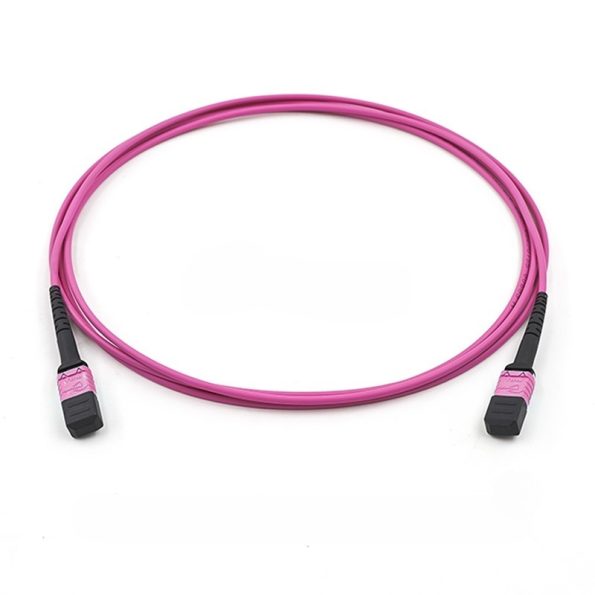 OM4 Multimode MTP-12 Trunk Cable, Magenta-2