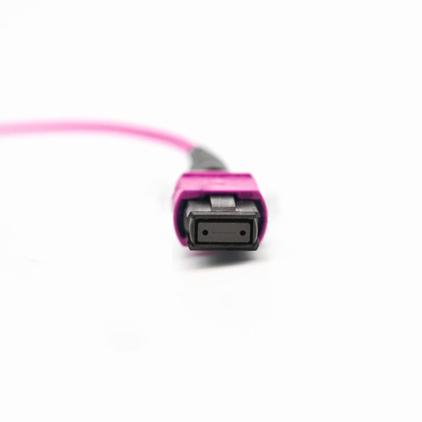 OM4 Multimode MTP-12 Trunk Cable, Magenta-3