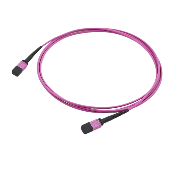 OM4 Multimode MTP-24 Trunk Cable, Magenta