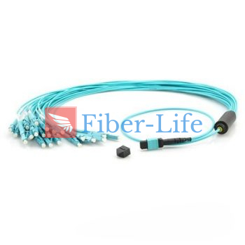 24-Fiber OM3 Multimode MPO Breakout Cable