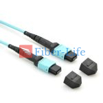 24-Fiber OM3 Multimode MTP-24 Breakout Cable, Aqua