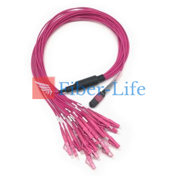 24-Fiber OM4 Multimode MTP-24 Breakout Cable, Magenta