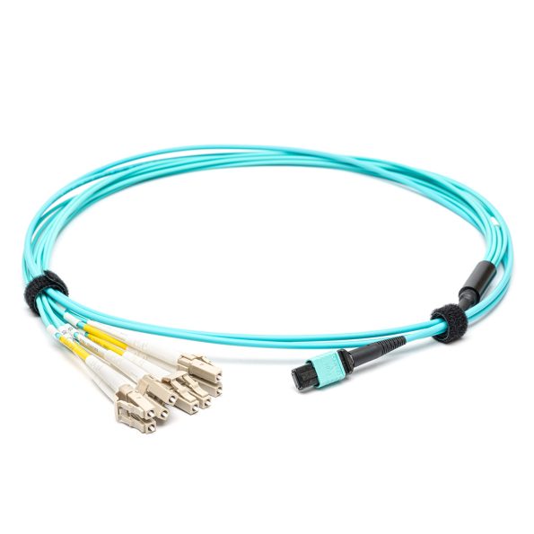 MPO Fanout Cable-1