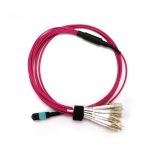 OM4 Multimode MPO-12 Breakout Cable, Magenta