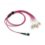 OM4 Multimode MPO-12 Breakout Cable, Magenta