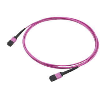 OM4 Multimode MPO-12 Trunk Cable, Magenta