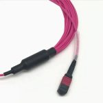 OM4 Multimode MPO-24 Breakout Cable, Magenta