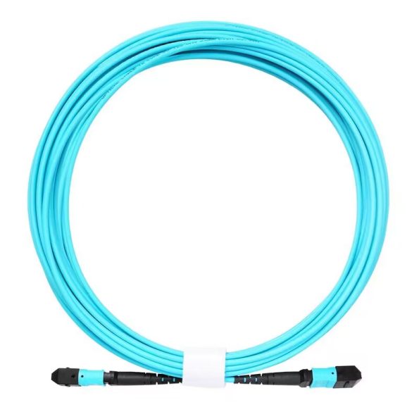 MPO and MTP Trunk Cables