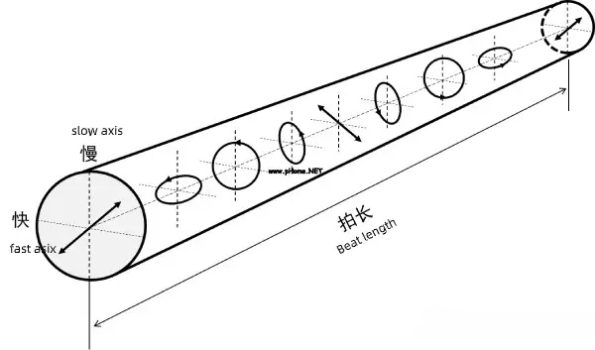 beat length of polarization-maintaining fiber