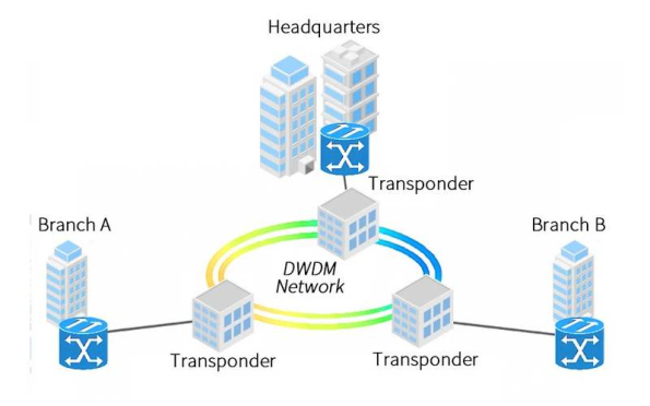 DWDM Networks