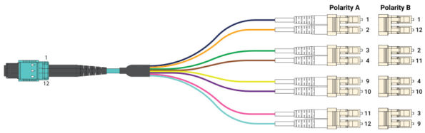 MPO 12 to Four Duplex LC