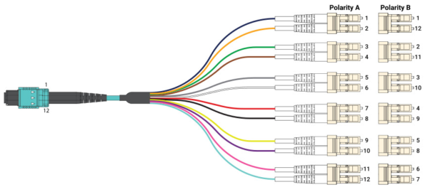 MPO 12 to Six Duplex LC