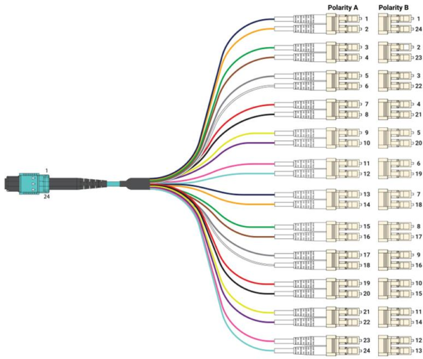 MPO 24 to Twelve Duplex LC