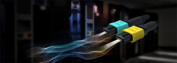 MPO Cable Common Applications