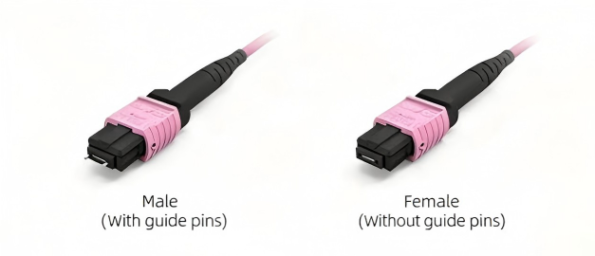 MPO Connector Gender