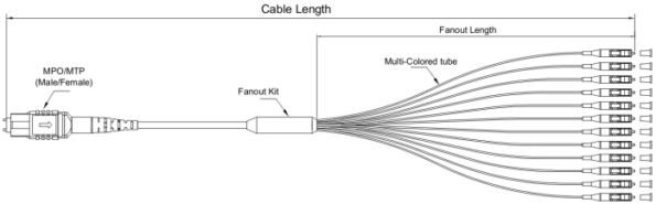 What Is an MPO 12 Breakout Cable
