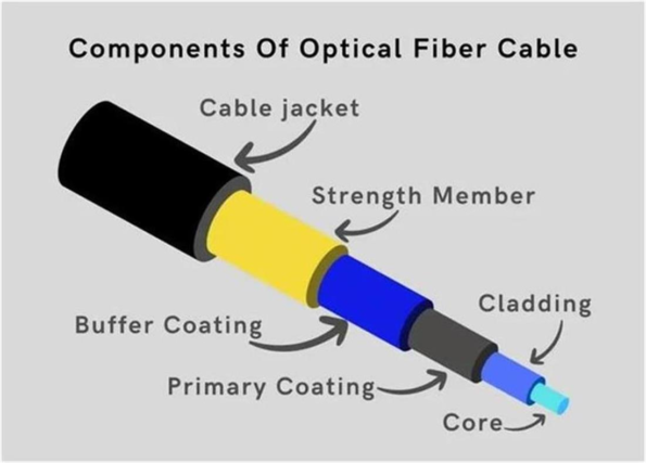 The Anatomy of a Fiber Cable